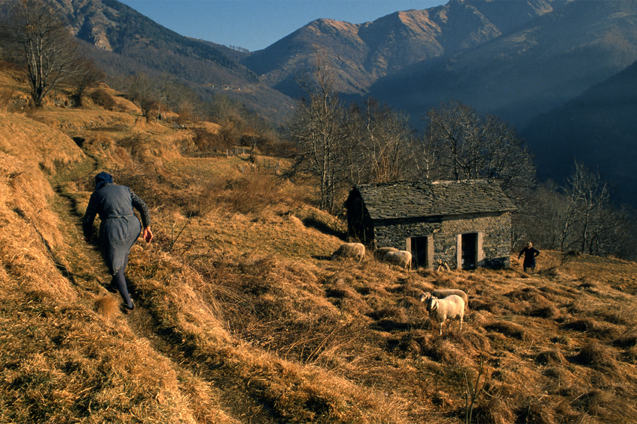 Afi Archivio Fotografico Italiano Home Page